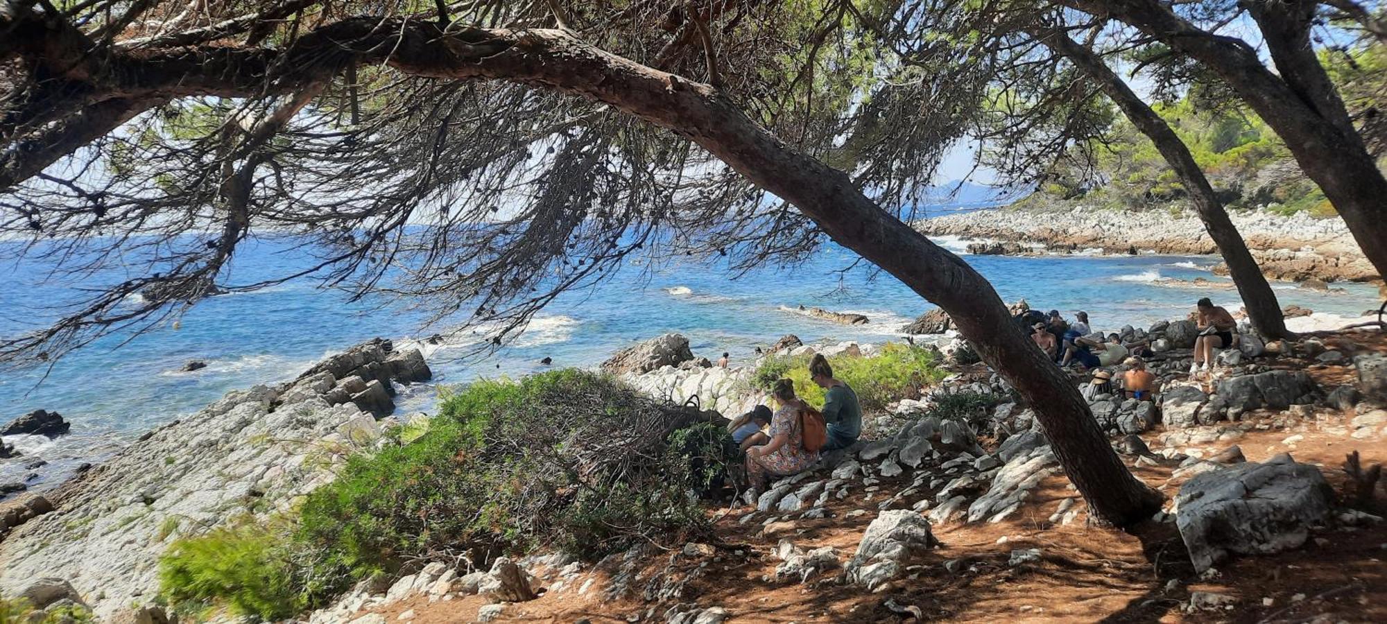 Studio Sun-Beach Avec Parking Et Jardin - 500M Des Plages De Juan Les Pins Antibes Exterior photo